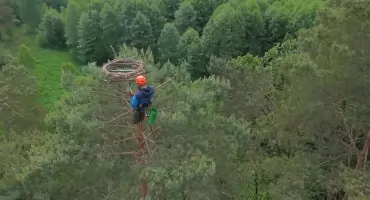 Czekając na rybołowa