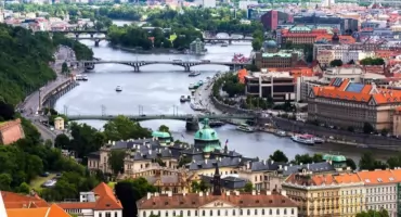 Dostawa kwiatów w Warszawie w godzinach szczytu. Jak to robią profesjonaliści?