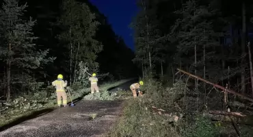 Nocna wichura uderzyła w powiat. Strażacy ruszyli do powalonych drzew