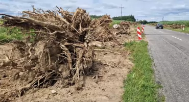 Usuwają potężne korzenie, będzie nowa droga i ścieżka za kilka milionów